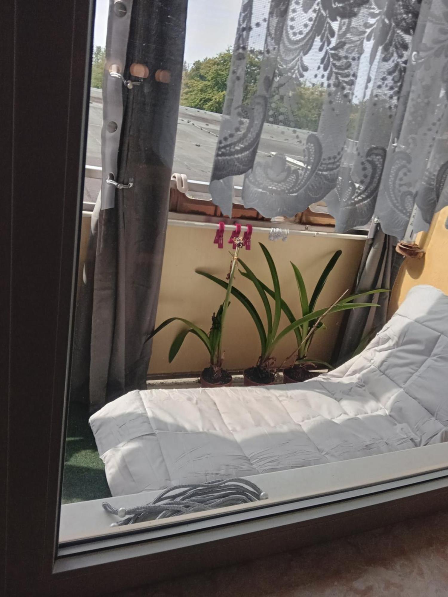 Wohnung 416, Am Kurpark 3, 38700 Braunlage Ngoại thất bức ảnh